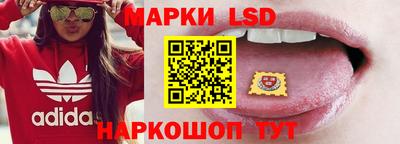 прущие грибы Бийск