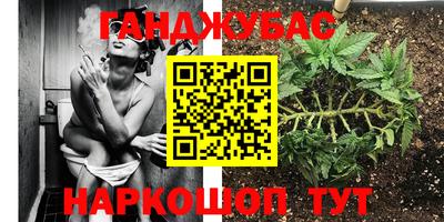 прущие грибы Бийск