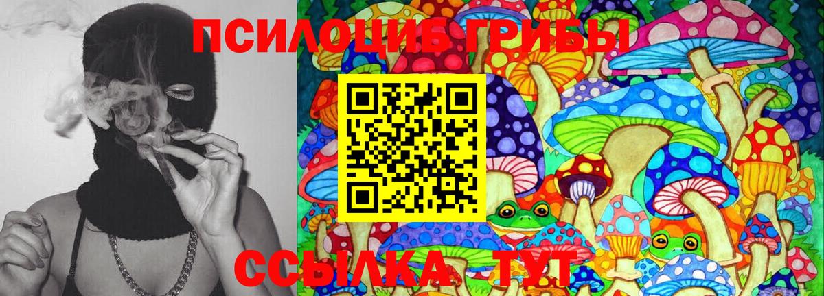 Псилоцибиновые грибы Psilocybine cubensis  Вход с VPN  Калуга  Галлюциногенные грибы Psilocybine cubensis 